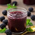 Blackberry Puree
